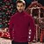 preiswerte Herrenpullover-Herren Weihnachtspullover Pullover Strickpullover Gerippt Stricken Normale Oberteile Gestrickt Einfach Rollkragen Mode Lässig Urlaub Alltagskleidung Bekleidung Herbst Winter Kamel Wein S M L