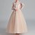 billige Blomsterkjoler-Blomsterpigekjole børn Pige Prinsesse kjole Ydeevne Bryllup Fest Elegant Smuk Net Helfarve Langærmet Rund hals Vinrød Hvid 4 år +