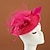 billige 1950-tallet-teselskap hatt fascinator - 2025 high tea party kentucky derby pillbox lue 1920-talls hodeplagg for dame kvinner jenter