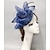 cheap Fascinators-Fascinators Net Veil Hat Wedding Horse Race With Feather Cap Headpiece Headwear