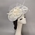 cheap Fascinators-Fascinators Feathers Net Veil Hat Wedding Ladies Day With Feather Bowknot Headpiece Headwear