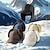 abordables Gorros-Hombre Mujer Gorro de  Esquí Al aire libre Invierno Mantiene abrigado Resistente al Viento Sombrero para Esquí Snowboard Montañismo