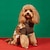 baratos Suéteres-Cachorros Súeters Moda Inverno Quente Da Moda Confortável Ao ar livre Dia a Dia Interior Roupas para cães for Small Médio