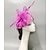 cheap Fascinators-Fascinators Net Veil Hat Wedding Horse Race With Feather Cap Headpiece Headwear