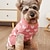 abordables Vêtements &amp; accessoires-Chien Pull Robe Le style mignon Doux Hiver Chaud Mode Confortable Extérieur Quotidien Intérieur Vêtements pour chiens for Small Moyen