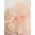 billige Coiffer-Fjær Nett Fascinatorer Kentucky Hatter Hodepryd med Fjærhatt Blomster 1 PC Bryllup Hesteløp Damers Dag Melbourne Cup Hodepryd å imponere Race Day Dress