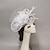 cheap Fascinators-Fascinators Feathers Net Veil Hat Wedding Ladies Day With Feather Bowknot Headpiece Headwear