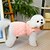 economico Vestiti-Cane Gatto Vestito Casual Quotidiano Tempo libero Inverno Caldo Morbido Confortevole Abbigliamento Quotidiano Casual Quotidiano Gatto Cane Husky Labrador Malamute dell&#039;Alaska