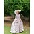billiga Klänningar-Vintage Rokoko Barock Maxi Klänningar Vanligt Juliet ärm Prinsessa Lantlig flicka Prinsessa Fyrkantig hals Maskeradkläder Halloween Karnival Maskerad Fest Halloween Prestanda Vuxen