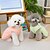 economico Vestiti-Cane Gatto Vestito Casual Quotidiano Tempo libero Inverno Caldo Morbido Confortevole Abbigliamento Quotidiano Casual Quotidiano Gatto Cane Husky Labrador Malamute dell&#039;Alaska