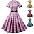 billige Kjoler-1950'erne Retro / vintage rockabilly Kjoler Swing kjole Flare kjole Ternet / Gingham Figursyet Gynge Udklædning Dame Valentinsdag Fest Stævnemøde tefest Voksne Kjole Forår sommer