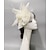 cheap Fascinators-Fascinators Net Veil Hat Wedding Horse Race With Feather Cap Headpiece Headwear