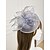 billige Coiffer-Fjær Nett Fascinatorer Kentucky Hatter Hodepryd med Fjærhatt Blomster 1 PC Bryllup Hesteløp Damers Dag Melbourne Cup Hodepryd å imponere Race Day Dress