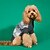 baratos Suéteres-Cachorros Súeters Moda Inverno Quente Da Moda Confortável Ao ar livre Dia a Dia Interior Roupas para cães for Small Médio