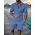 economico Set di magliette basic da uomo-Per uomo Polo con zip Set di magliette Set tuta estiva 2 pezzi Maglietta e pantaloncini Manica Corta Colletto Polo Casual Con zip Casuale Quotidiano Giallo limone Rosa Nero Maglietta Top per Uomo