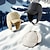 abordables Gorros-Hombre Mujer Gorro de  Esquí Al aire libre Invierno Mantiene abrigado Resistente al Viento Sombrero para Esquí Snowboard Montañismo