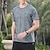 cheap Tees &amp; Shirts-Men&#039;s T shirt Short Sleeve Crew Neck Tee Tshirt Muscle T-Shirt Short Sleeve Shirt Outdoor Quick Dry Workout Soft Sweat wicking Polyester Burgundy Royal Blue Dark Blue Gym Climbing Camping / Hiking