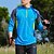 voordelige Bovenkanten-Voor heren T-shirt Wandel T-shirt Lange mouw Kwart ritssluiting T-shirt Spier T-shirt Stretch-T-shirt voor bodybuilding Buiten Sneldrogend Training Zacht Zweetafvoerend Lente Herfst Polyester Lapwerk