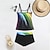 economico Costumi interi e tankini-Per donna Tankini Costume da bagno a due pezzi Costumi da bagno Costumi da bagno Giallo Blu Traspirante Asciugatura rapida Leggero Senza maniche - Nuoto Surf Spiaggia Estate Primavera Plus Size