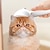 economico Forniture per eventi e feste-spazzola per cani, spazzola ad acqua 3 in 1 per cani con serbatoio dell'acqua e pulsante di rilascio, spazzola a vapore per cani per eliminare i peli arruffati, spazzola ad acqua nebulizzata per cani