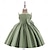 preiswerte Partykleider-kinderkleidung Mädchen Party Kleid Feste Farbe Ärmellos Besondere Anlässe Prinzessin Polyester abendkleider Sommer Frühling 3-10 Jahre Mehrfarbig Weiß Champagner