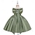 preiswerte Partykleider-kinderkleidung Mädchen Party Kleid Feste Farbe Ärmellos Besondere Anlässe Prinzessin Polyester abendkleider Sommer Frühling 3-10 Jahre Mehrfarbig Weiß Champagner