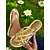 preiswerte Lässige Sandalen-goldene Riemchensandalen für Damen – elegante Zehensandalen mit Flechtmuster und flacher Sohle für lässige Sommer-Outfits