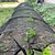 preiswerte Gartenhandwerkzeuge-2-in-1 tragbarer Gewächshausschutz vor Sonnenhitze, Gartentunnel-Schattennetzabdeckung mit Schnellverschluss-Technologie, Reihenabdeckungen für Gemüsepflanzenschutz vor der Sonne