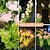 abordables Éclairage paysager-Lot de 2 lampes d&#039;extérieur à énergie solaire pour champ de fleurs en bord de mer, lampe de décoration pour cour, jardin, chemin, pelouse, festival de printemps, festival d&#039;été, mariage, atmosphère