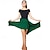 abordables Faldas Latinas-Faldas de baile de salsa latina para mujeres, faldas ajustadas para patinaje sobre hielo con baile de salón, baile de swing irregular suave, vestidos de práctica de tango y cha cha