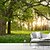 abordables Papiers peints-Papier Peint Paysage Nature 3D Décoration Maison Murale Rouleau Autocollant Retirable en PVC/Vinyle Matériel Autoadhésif/Nécessitant de la Colle Décor Murale pour Salon