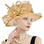 billige Festhatte-Hatte polyester Fedora Bryllup Afslappet Ferie Elegant Årgang Solbeskyttelse Med Blomster Ren Farve Medaljon Hovedbeklædning