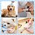 cheap Dog Grooming Supplies-7pcs/set Cat And Dog Brush Grooming Set Pet Self Cleaning Brush With Pet Nail Clipper And File Flea Dog Comb Pet Bath Brush Pet Finger Toothbrush