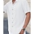 voordelige heren overhemd met knopen-Voor heren Overhemd Zomer overhemd Normaal shirt Strand hemd Overhemd met knopen Zwart Wit Bruin Korte mouw Effen Overhemdkraag Vakantie Hawaii Kleding Polyester Modieus Casual Comfortabel