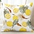 voordelige bloemen &amp; planten stijl-Zomer Hawaii Decoratieve Gooi Kussens 1PC Zachte Vierkante Bankkussenhoes Kussenhoes voor Slaapkamer Woonkamer Bank Stoel Fruit Citroen