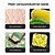 abordables Microscopes et endoscopes-Microscope numérique portable 2 en 1 de type C, 8 LED, grossissement 1600x, endoscope pour iPhone et Android, caméra d&#039;inspection