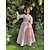 abordables Vestido-Retro Antiguo Medieval Renacimiento Vestidos Vestido de fiesta de graduación Princesa élfico Disfraz Mujer Celta Fantasía Real Víspera de Todos los Santos Carnaval Rendimiento Fiesta LARP Adulto