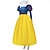 billige Kvinners kostymer-Snø og de syv vennene Prinsesse Hushjelp Kjoler Cosplay kostyme Karnevalskostyme Kle deg opp for Dame Voksne Halloween Karneval Fest Ytelse