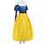 billige Kvinners kostymer-Snø og de syv vennene Prinsesse Hushjelp Kjoler Cosplay kostyme Karnevalskostyme Kle deg opp for Dame Voksne Halloween Karneval Fest Ytelse
