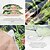 economico 100% cotone-Set di copripiumino floreale 100% cotone biancheria da letto morbida e traspirante con fiori tropicali copripiumino leggero e resistente comodo per tutte le stagioni facile da mantenere