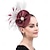 cheap 1950s-Headpiece Feathers Wedding Evening Party Elegant Wedding With Feather Headpiece Headwear