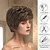 voordelige Synthetische trendy pruiken-Synthetische pruiken Golvend Krullend weefsel Middelste stuk Asymmetrisch kapsel Machinegemaakt Pruik 25.4 cm A1 Synthetisch haar Dames Klassiek Comfortabel Kleurgradatie Meerkleurig