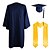 economico Costumi per lavori e professioni-toga e tocco di laurea 2025 set con nappa stole di laurea per liceo college laurea
