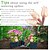 cheap Watering &amp; Irrigation-Automatic Watering Machine For Small Birds Multi Functional Lazy Plants Potted Plants Watering Dripping Device For Home Gardening Irrigation Water Penetrating Device