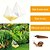 cheap Animal Support &amp; Care-20 Pieces of Disposable Outdoor Garden Snail and Slug Traps - help You Solve The Snail and Slug Problem - PE Material No Electricity Required