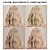 abordables Perruques Synthétiques Sans Bonnet-Perruque Synthétique Ondulé Tissage bouclé Coupe Asymétrique Coupe Droite Fabriqué à la machine Perruque 14 pouces A1 Cheveux Synthétiques Femme Classique Confortable Dégradé de Couleur Marron clair