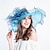 billiga Festhattar-hattar Organza Formell Strand Elegant Med Rosett Hårbonad Huvudbonader