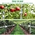 cheap Animal Support &amp; Care-2-Pack With Double-sided Reflective Ribbon Suitable for Orchards and Vegetable Gardens Bird-proof Ribbon Outdoor Safe and Easy-to-use Bird-proof Solution