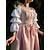 abordables Vestido-Retro Antiguo Medieval Renacimiento Vestidos Vestido de fiesta de graduación Princesa élfico Disfraz Mujer Celta Fantasía Real Víspera de Todos los Santos Carnaval Rendimiento Fiesta LARP Adulto