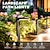 abordables Éclairages pour allées-Lampes solaires à LED pour allée, éclairage d&#039;extérieur, paysage lumineux et étanche, pour cour, patio, arrière-cour, pelouse, allée, jardin, décoratives avec lumière blanche chaude et froide